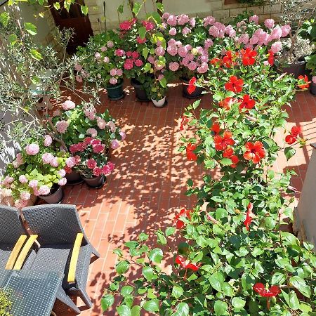 Apartment Eli Pag Town Bagian luar foto