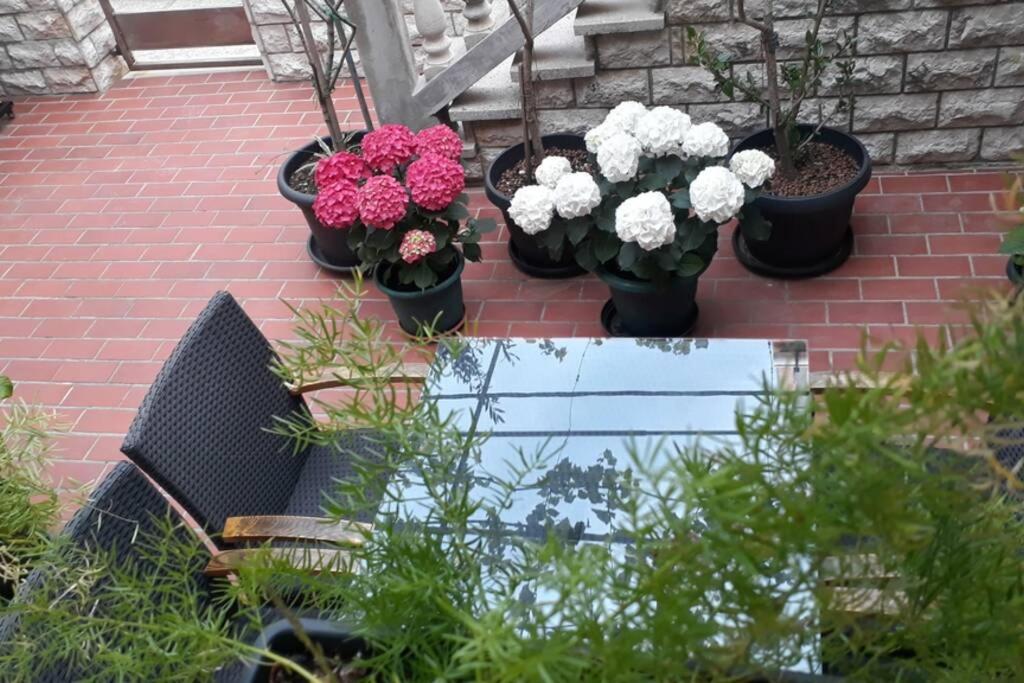 Apartment Eli Pag Town Bagian luar foto