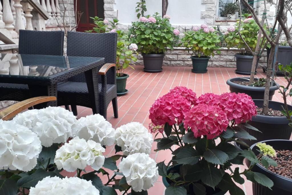 Apartment Eli Pag Town Bagian luar foto