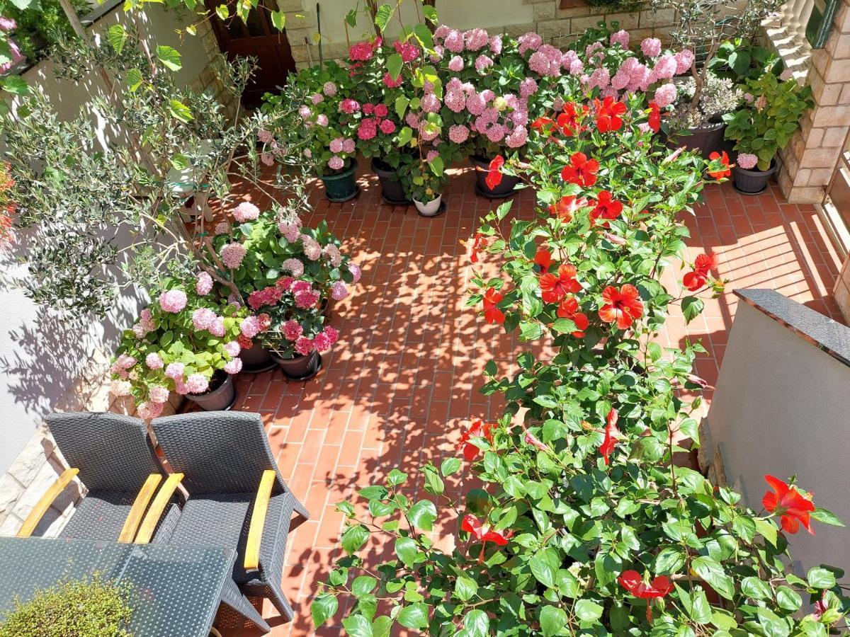 Apartment Eli Pag Town Bagian luar foto
