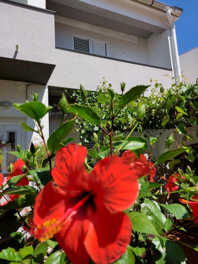 Apartment Eli Pag Town Bagian luar foto